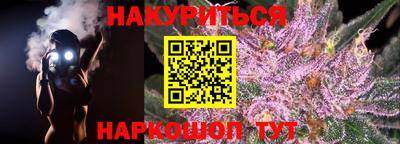 гашик Бийск