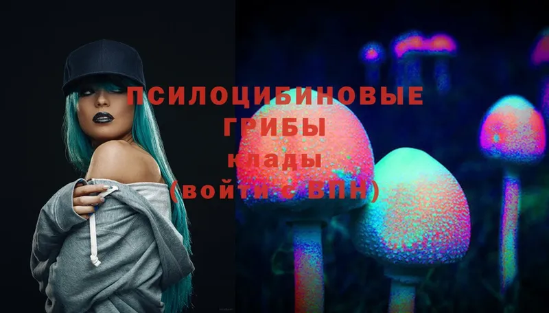 Галлюциногенные грибы Psilocybe  Миасс 