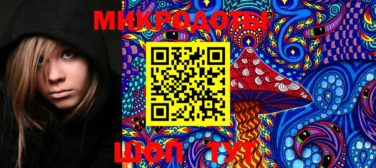 Псилоцибиновые грибы GOLDEN TEACHER Миасс