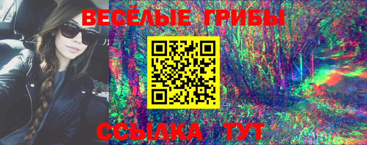 Миасс  Галлюциногенные грибы GOLDEN TEACHER  где купить   Вход с VPN 
