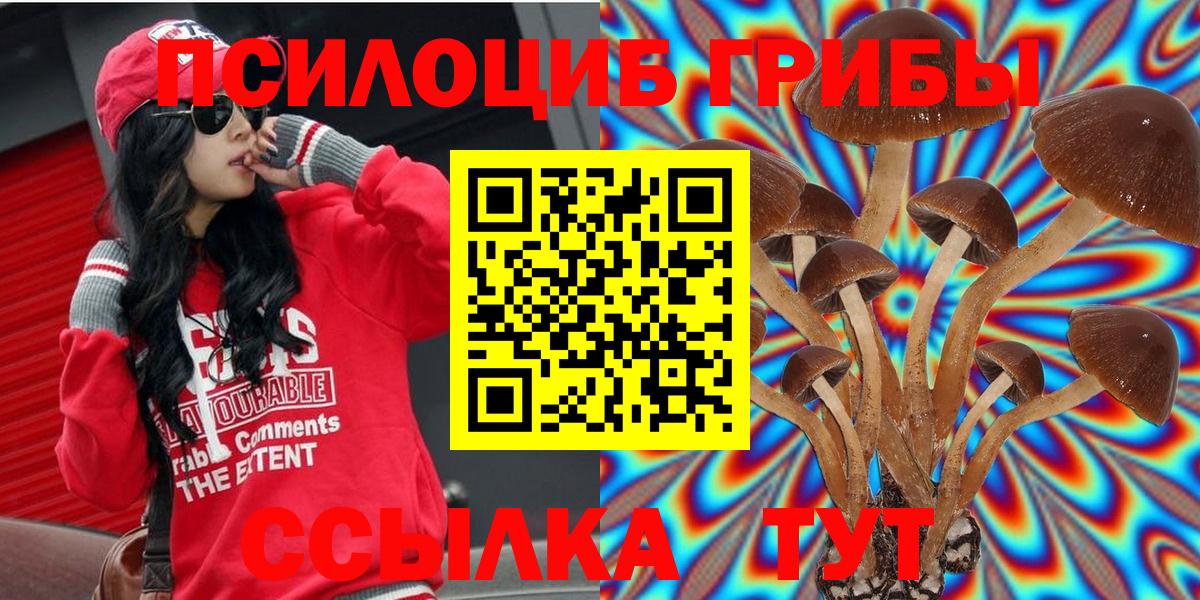 Галлюциногенные грибы GOLDEN TEACHER Миасс