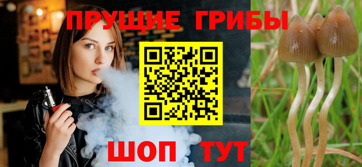 Мефедрон кристаллы  MDMA  Альфа ПВП СОЛЬ кристаллы  ГАШ  Вход с VPN  Миасс  Канабис  Мефедрон  ГАШ 